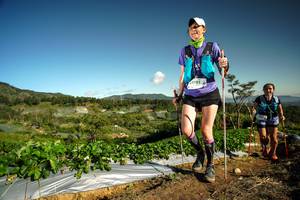 BIB: 9781
                            <button type="button" onclick="openModal(19121809)" class="btn btn-primary btn-sm float-right btn-popup" data-toggle="modal" data-target=".modal-high-quality">
                        <i class="fas fa-shopping-cart"></i> Add to Cart
                    </button>
                                            <button type="button" onclick="isThisMe(19121809, true)" class="btn btn-success btn-sm float-right btn-popup btn-isme hidden" data-toggle="tooltip" data-placement="bottom" title="นี่คือรูปของคุณใช่ไหม คลิกที่นี่เพื่อเอาเข้าอัลบั้ม">
                        <i class="fas fa-plus"></i> Add to album
                    </button>
                    <button type="button" onclick="isThisMe(19121809, false)" class="btn btn-warning btn-sm float-right btn-popup btn-isnotme hidden">
                        <i class="fas fa-ban"></i> Remove from album
                    </button>